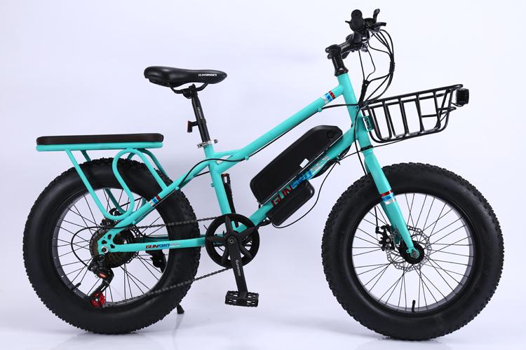 工厂直接销售 48 v 750 瓦山地脂肪轮胎电动自行车低价格